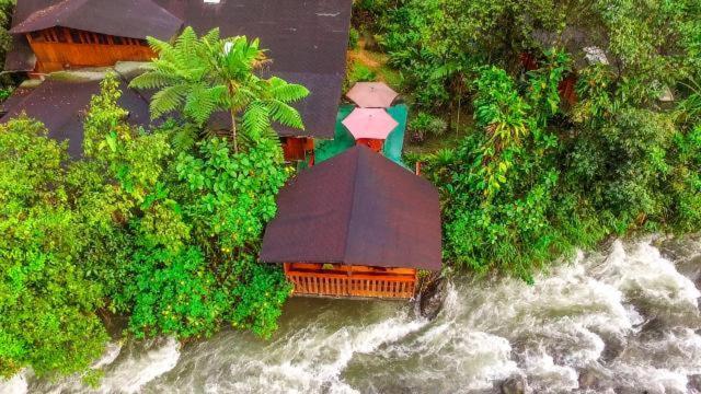 Mindo Garden Lodge And Wildlife Reserve Buitenkant foto