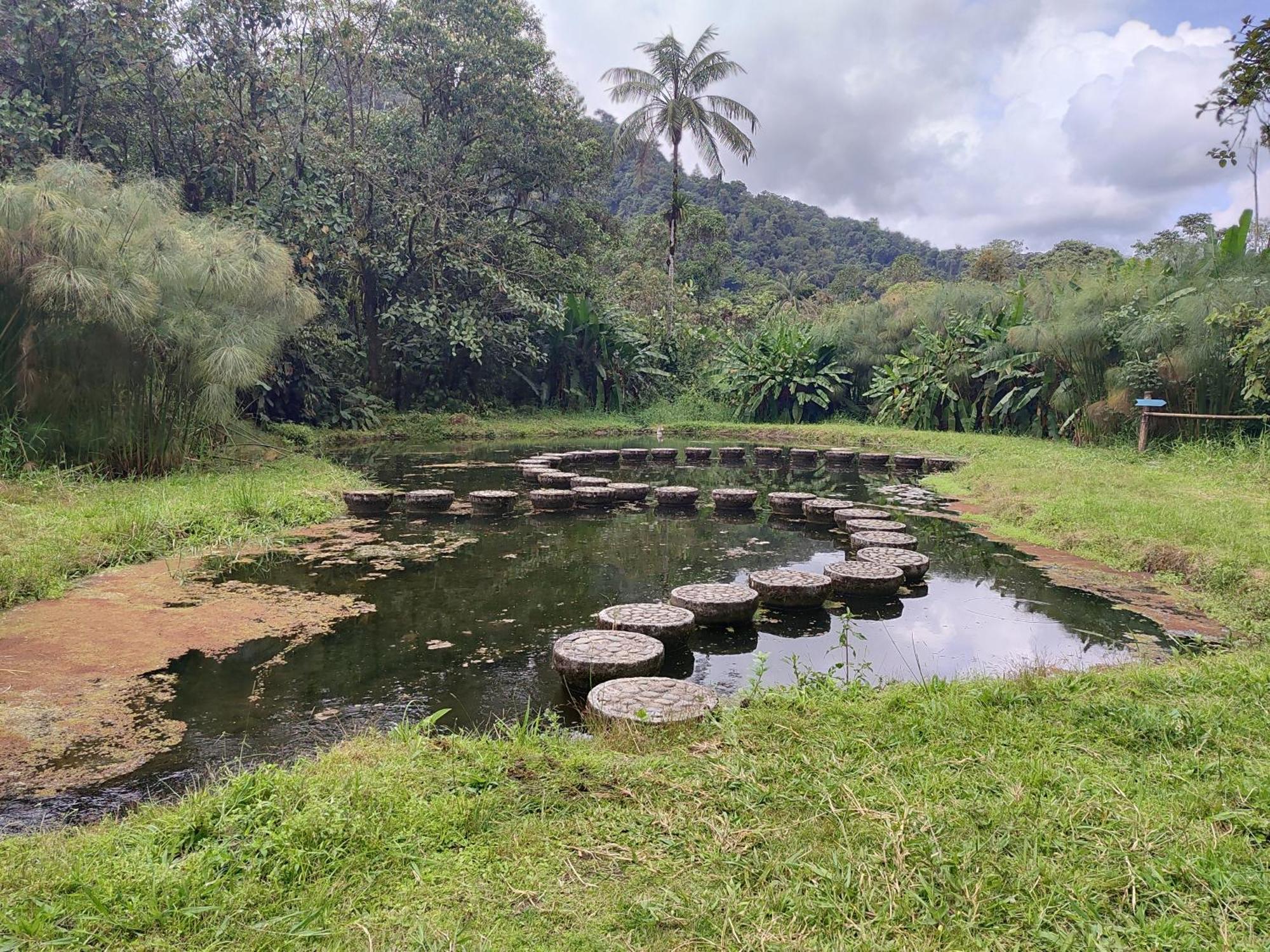Mindo Garden Lodge And Wildlife Reserve Buitenkant foto