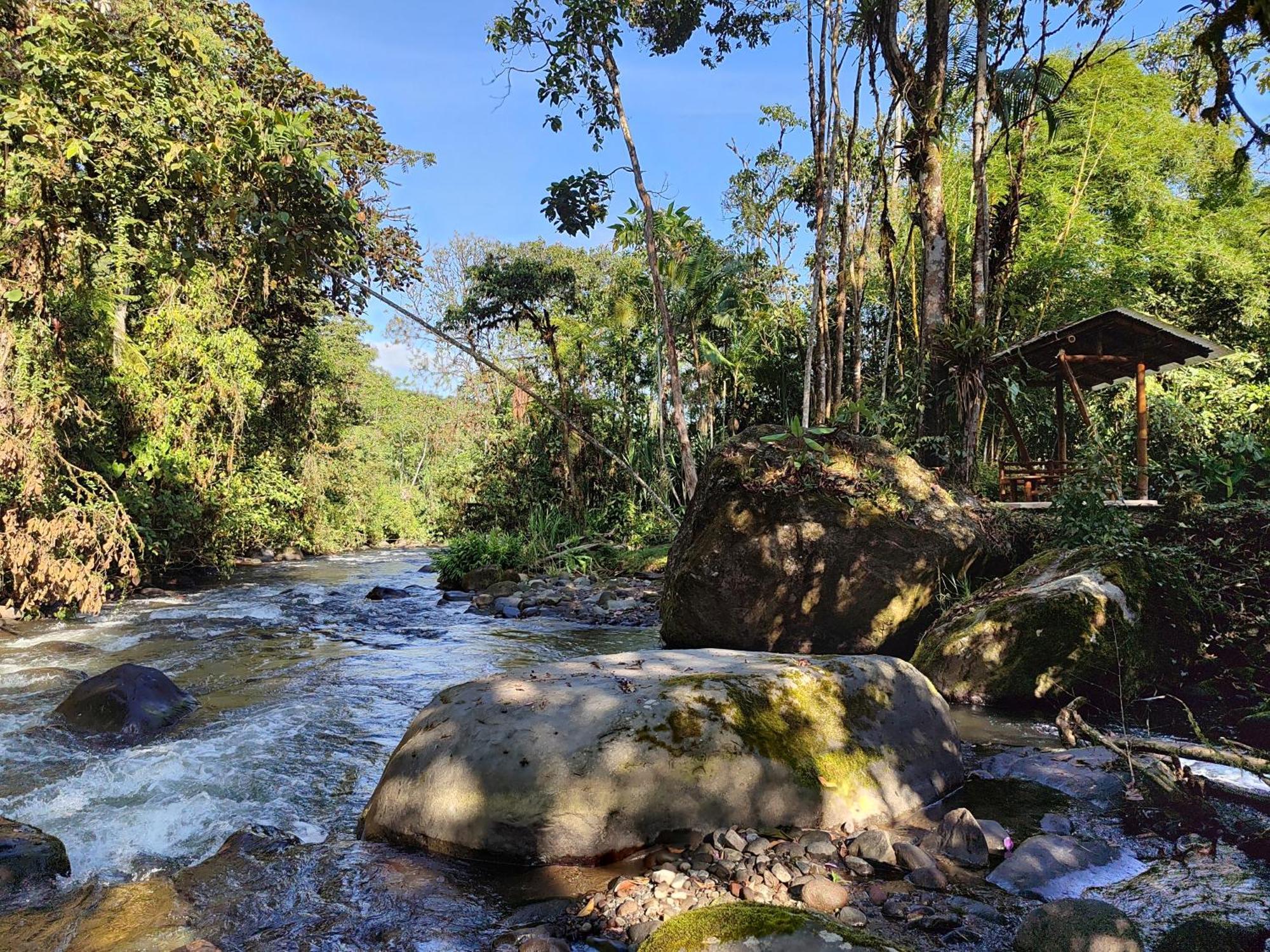 Mindo Garden Lodge And Wildlife Reserve Buitenkant foto