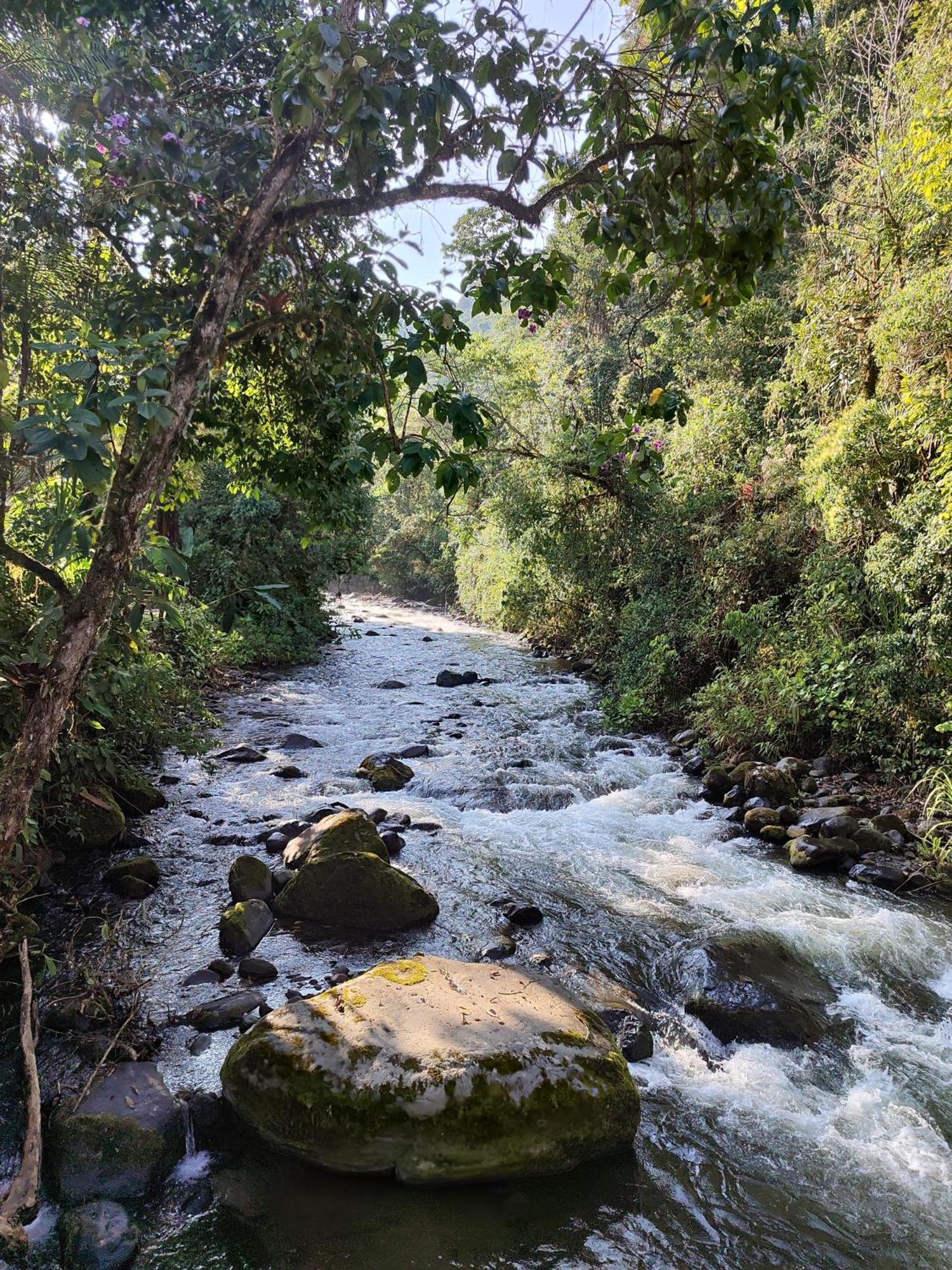 Mindo Garden Lodge And Wildlife Reserve Buitenkant foto