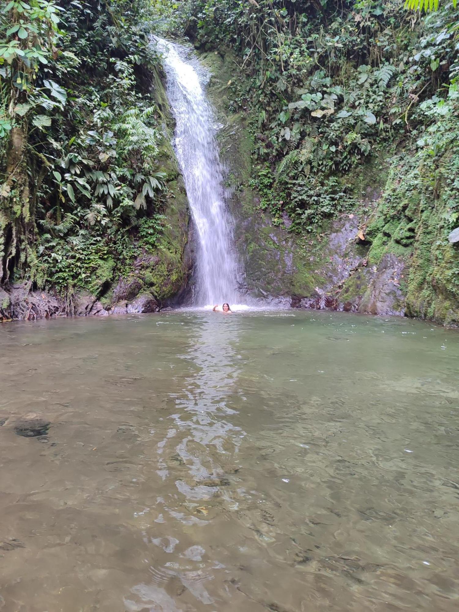 Mindo Garden Lodge And Wildlife Reserve Buitenkant foto