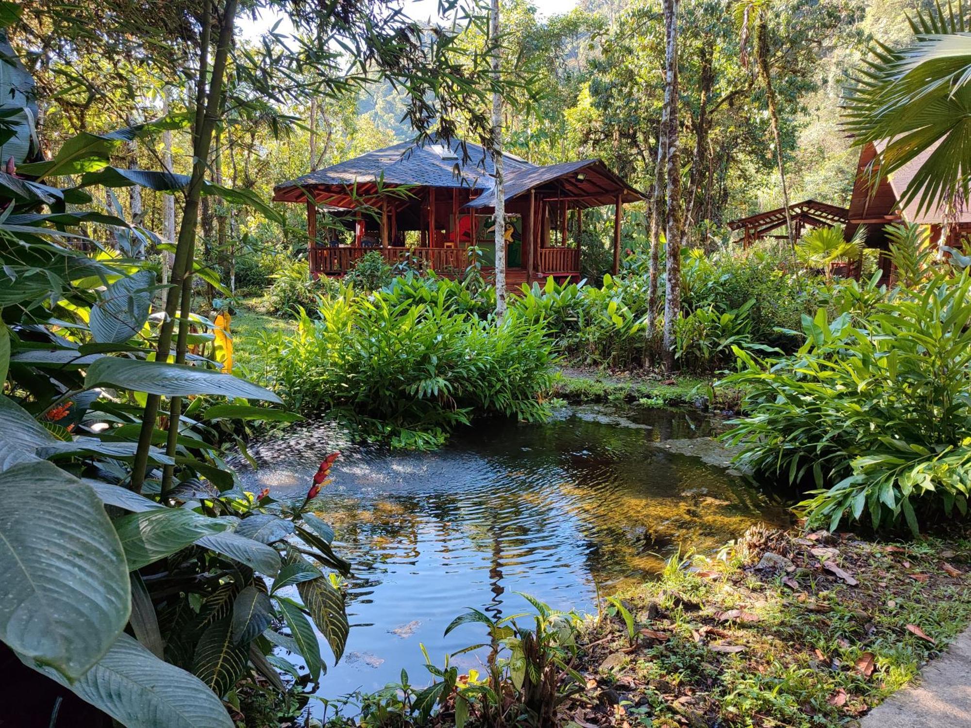 Mindo Garden Lodge And Wildlife Reserve Buitenkant foto