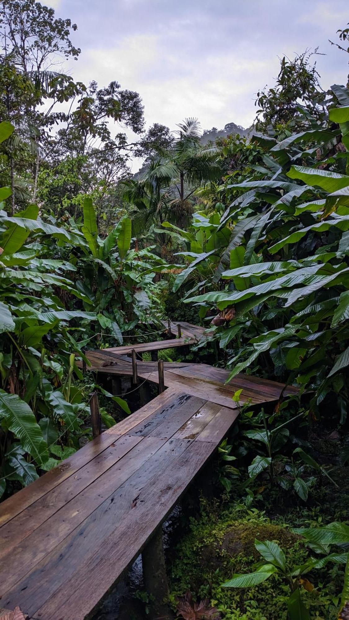 Mindo Garden Lodge And Wildlife Reserve Buitenkant foto